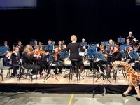 Voorjaarsconcert Doelum met o.a. leerlingenorkest